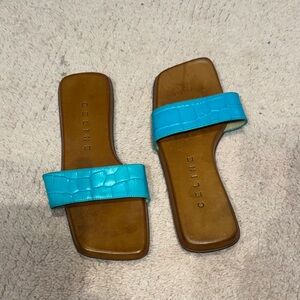 Celine Turquoise and Brown Slide Sandals